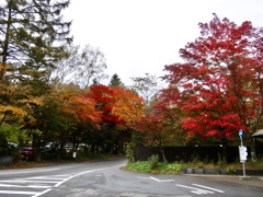 星野温泉エリア入口の紅葉1