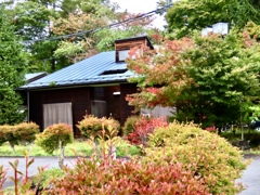 I近侍の紅葉