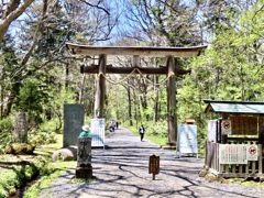 戸隠神社奥社へ4