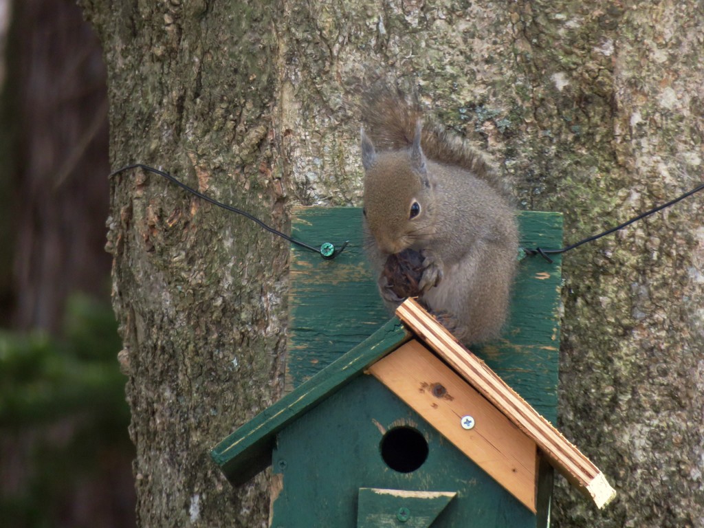 此処で食べよ！