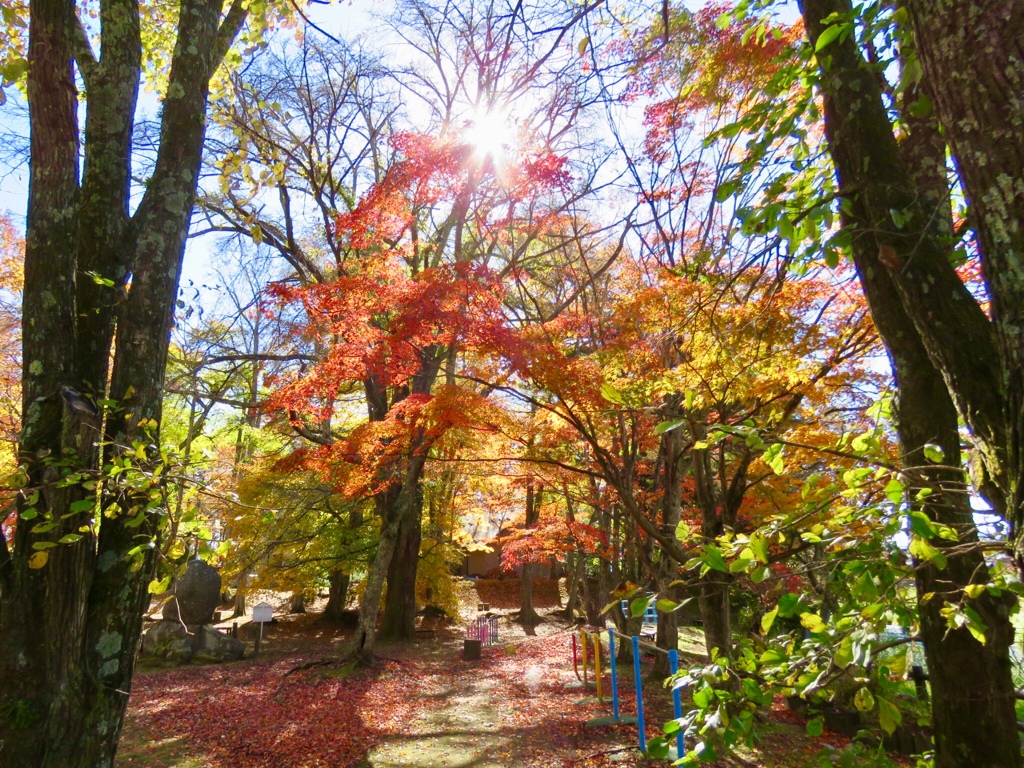 長倉神社の紅葉1