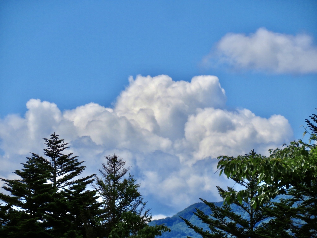 夏雲2