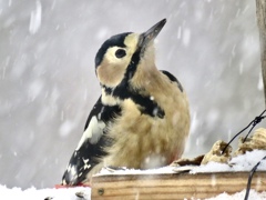 雪の中で