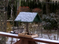 初雪の翌朝2