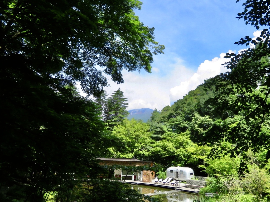 今日のケラ池