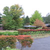 近所の公園