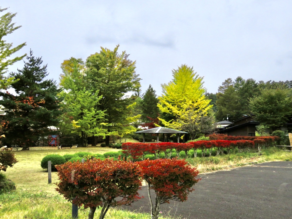 近所の公園