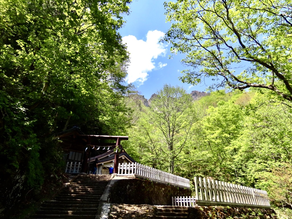 戸隠神社奥社へ10