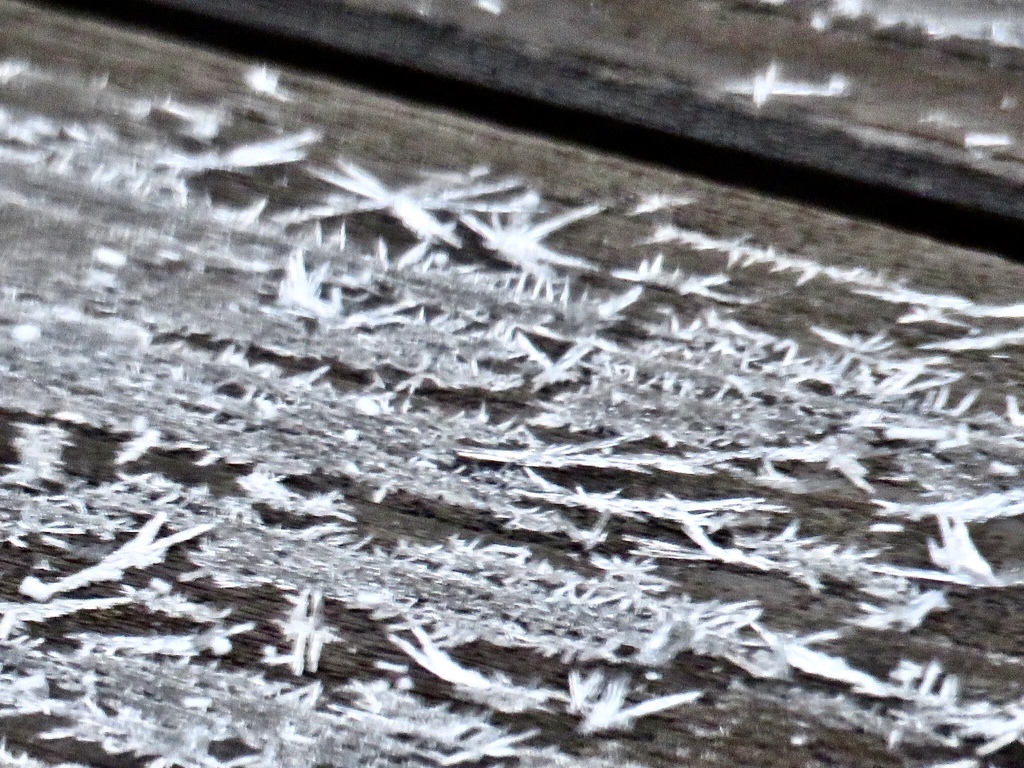 霜