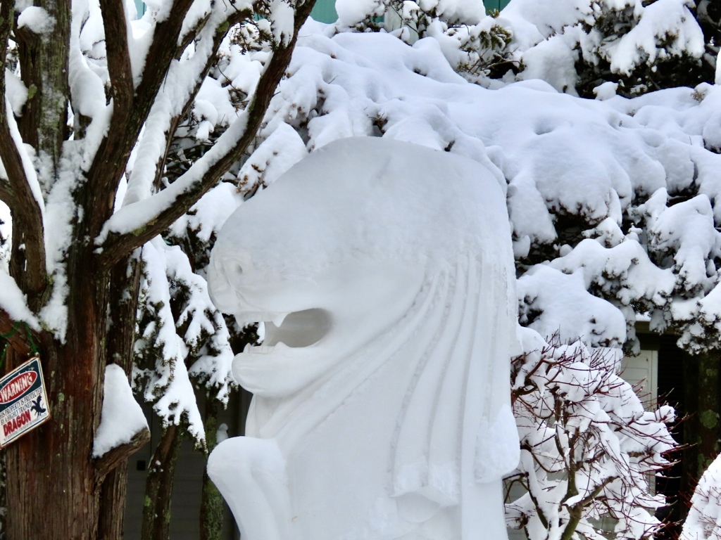 頭に雪が