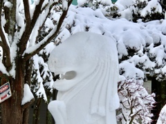 頭に雪が