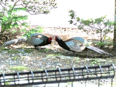 バトル2