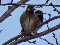 仲がいいのね 仲がいいのね
