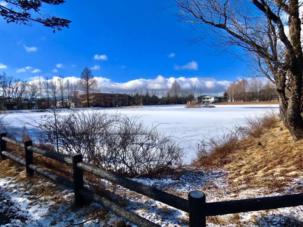 矢ヶ崎公園の池