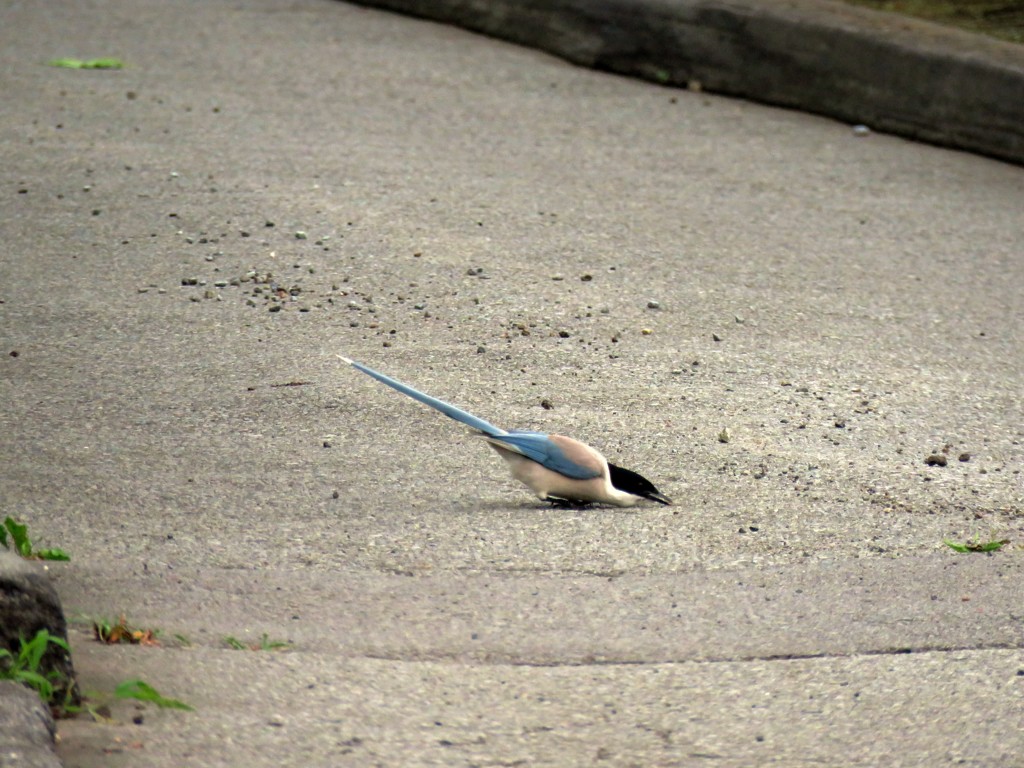 何しているの？