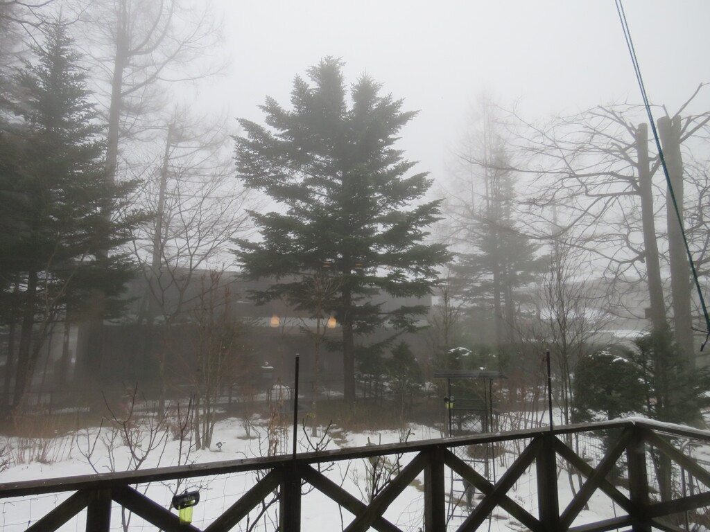 霧の朝1