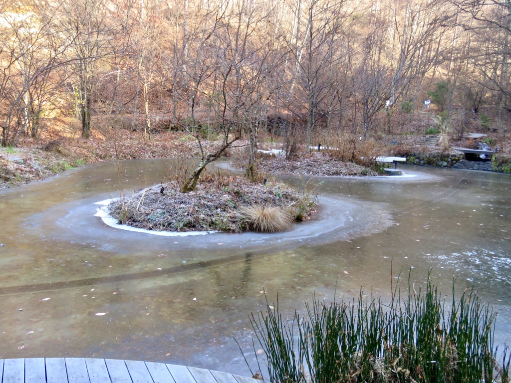 ケラ池の氷