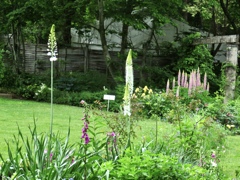 バラクライングリッシュガーデン7