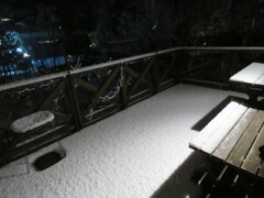 初積雪1