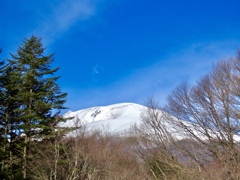 ケラ池から見た浅間山