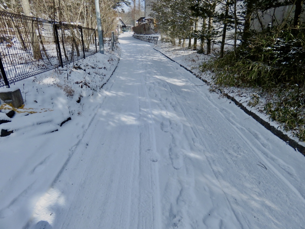 今朝の雪4