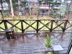 久しぶりの雨2