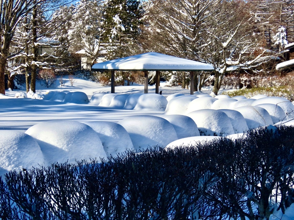 公園の雪見大福