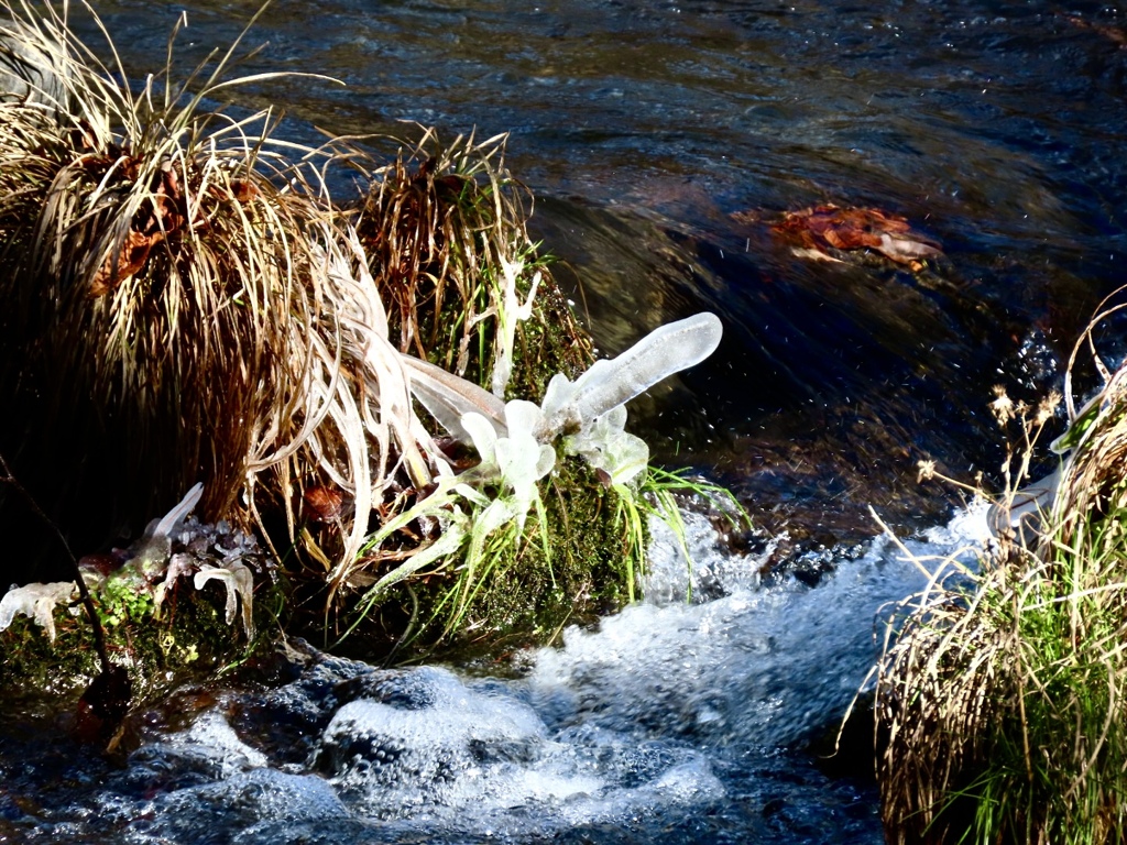 飛沫氷の季節②