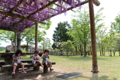ひと休み