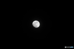 20170310211924_IMG_1370