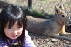 動物園