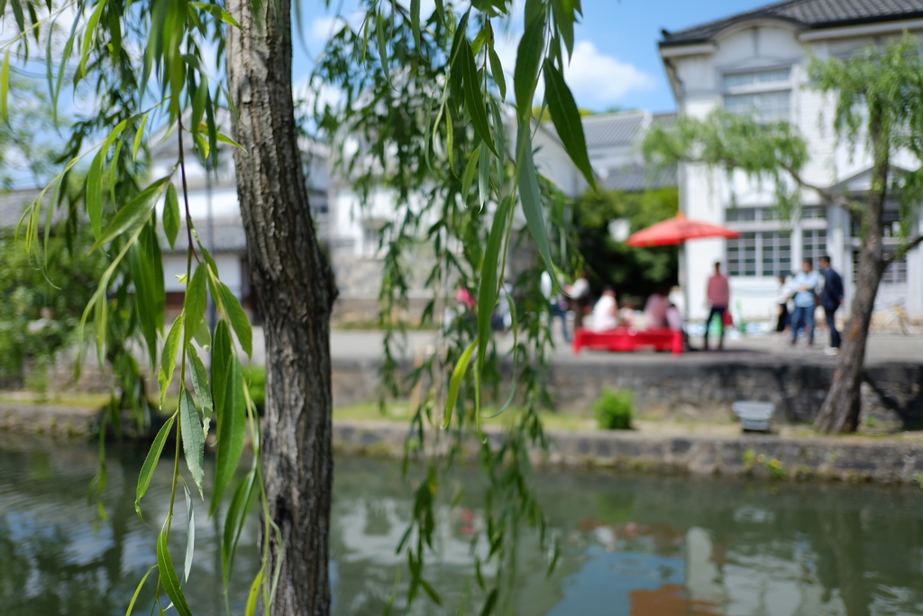 水郷