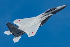F15