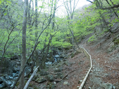 P4290009