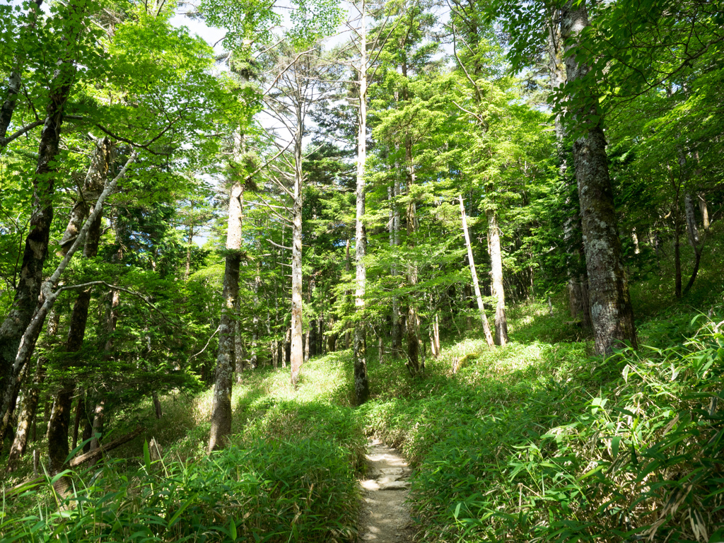 P7080218
