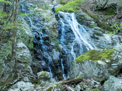 P4290017