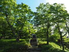 P7080123