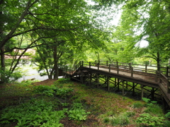 P6170105