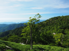 P7080144