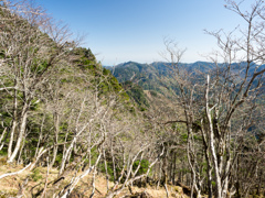 P4290150