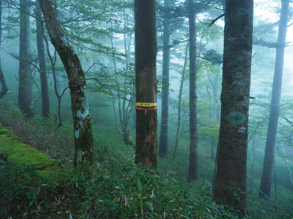 P9250027