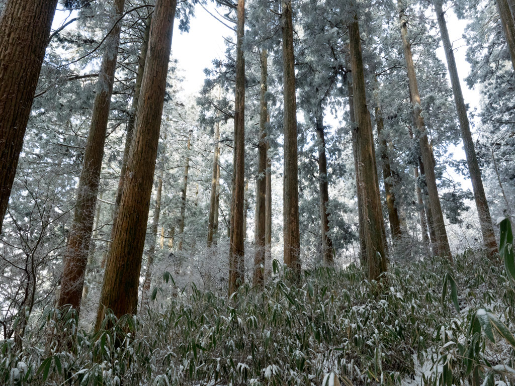 P1073080