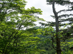 P7080228