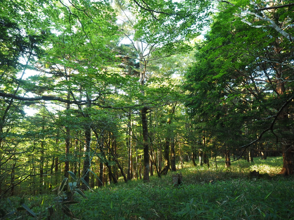 P7080012