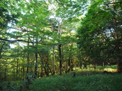 P7080012