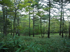 P9250016