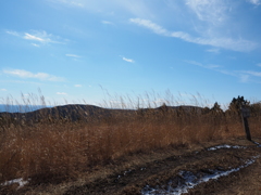 P2193798