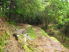 P5270055