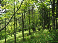 P7080230