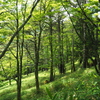 P7080230